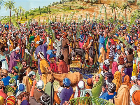 The triumphal entry: Luke 19